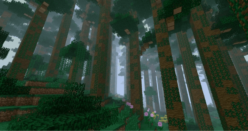Forest Clearing